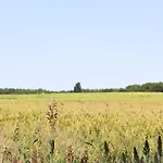 La Bastide De Negra Bed & Breakfast Montesquieu-Lauragais