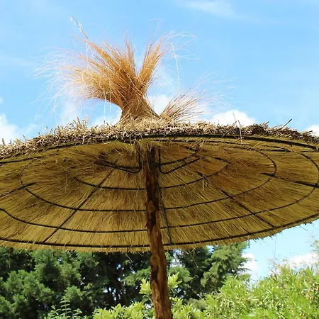 Bed & Breakfast La Bastide De Negra