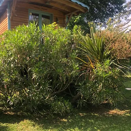 La Bastide De Negra Отель типа 