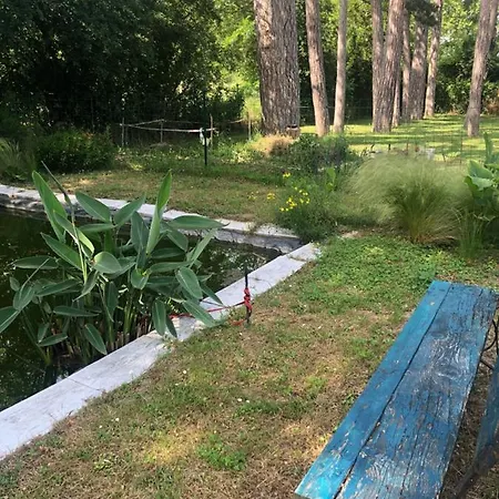 La Bastide De Negra לינה וארוחת בוקר