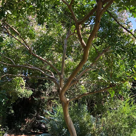 La Bastide De Negra Отель типа 