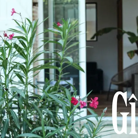 La Bastide De Negra Montesquieu-Lauragais