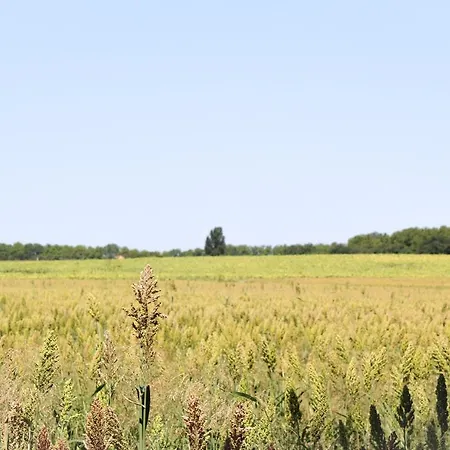 La Bastide De Negra Alojamento de Acomodação e Pequeno-almoço Montesquieu-Lauragais