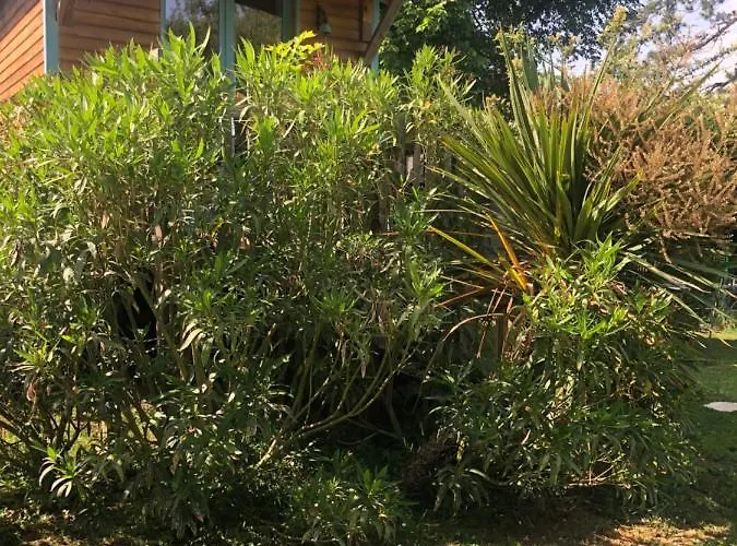 La Bastide De Negra לינה וארוחת בוקר