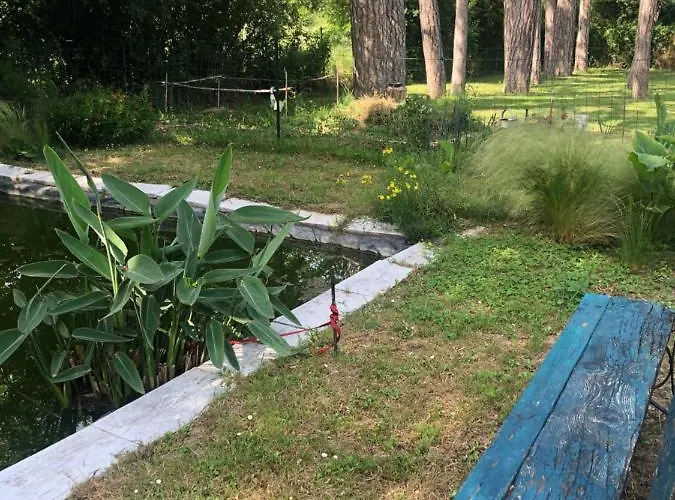 La Bastide De Negra לינה וארוחת בוקר